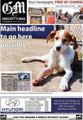 My first ever front page photo. This also happens to be the first time a puppy has appeared on Grocott's Mail's front page.