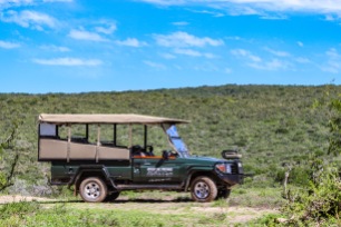 As a member of the Eastern Cape Parks and Tourism Agency, the Great Fish River Nature Reserve offers guests game and heritage drives on their large game vehicles. Photo: Stephen Kisbey-Green