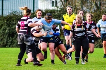 DCU on the attack against Old Belvedere RFC. Photo: Stephen Kisbey-Green